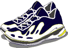 run05.gif (17637 bytes)